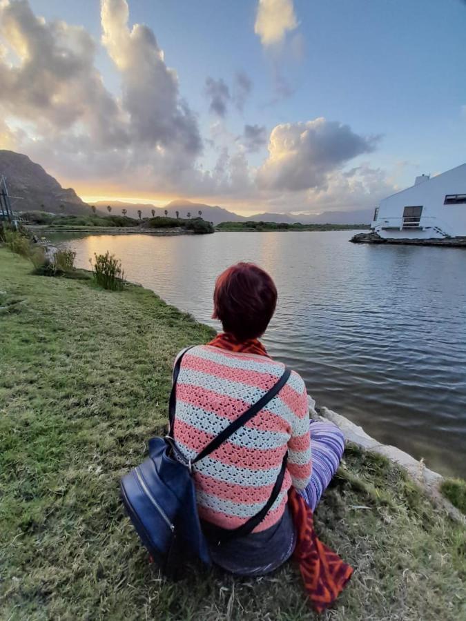 Vlei Cove Guesthouse เคปทาวน์ ภายนอก รูปภาพ