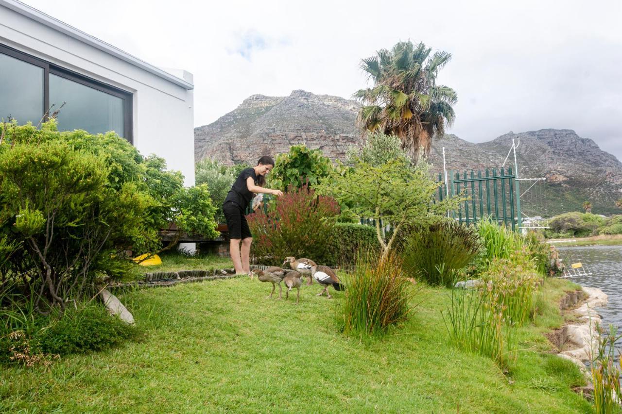 Vlei Cove Guesthouse เคปทาวน์ ภายนอก รูปภาพ